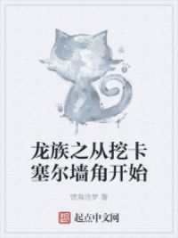 龙族从挖卡塞尔墙角开始 小说