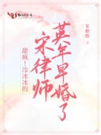 甜疯!冷冰冰的宋律师英年早婚了笔趣阁